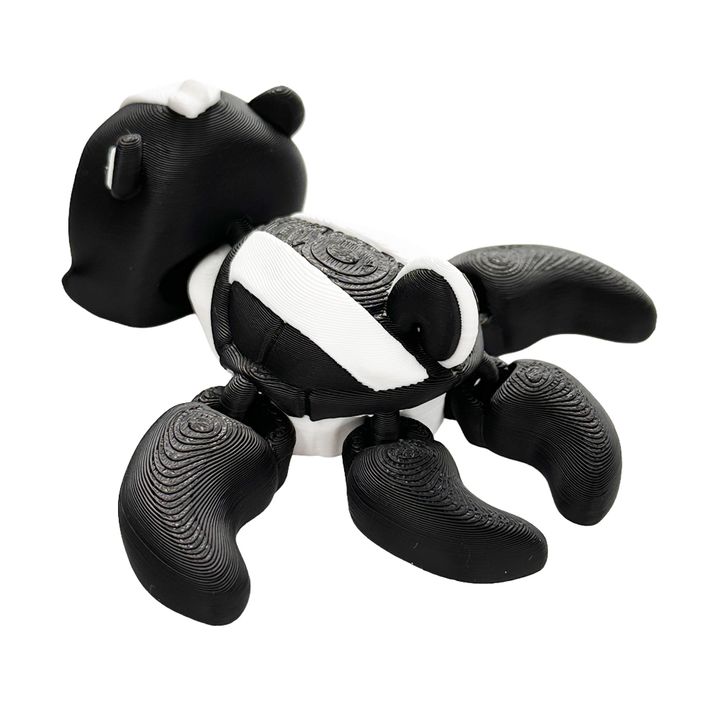 Skunk Turtle