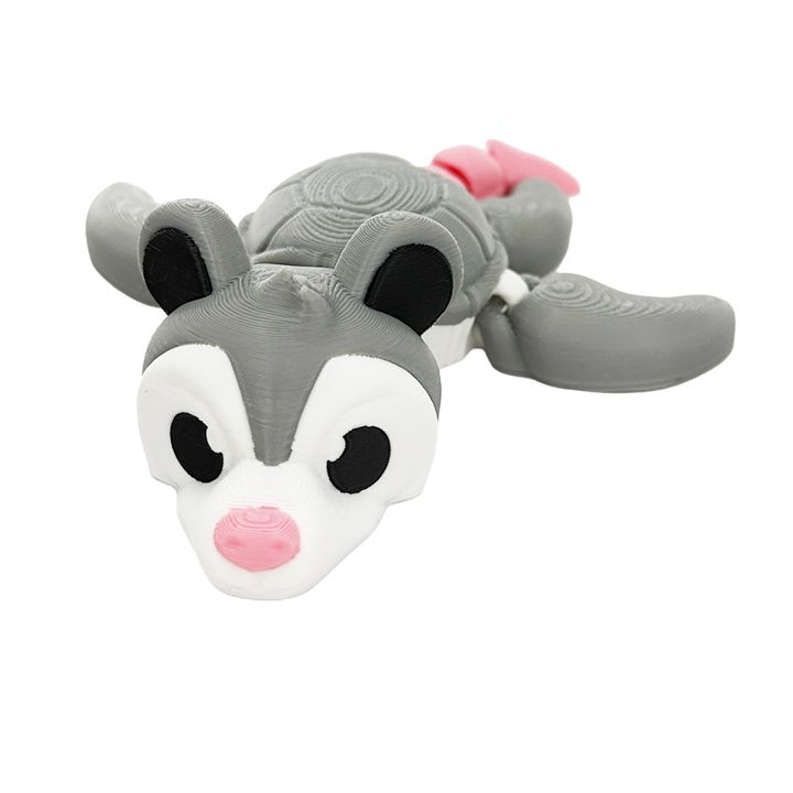 Opossum Turtle