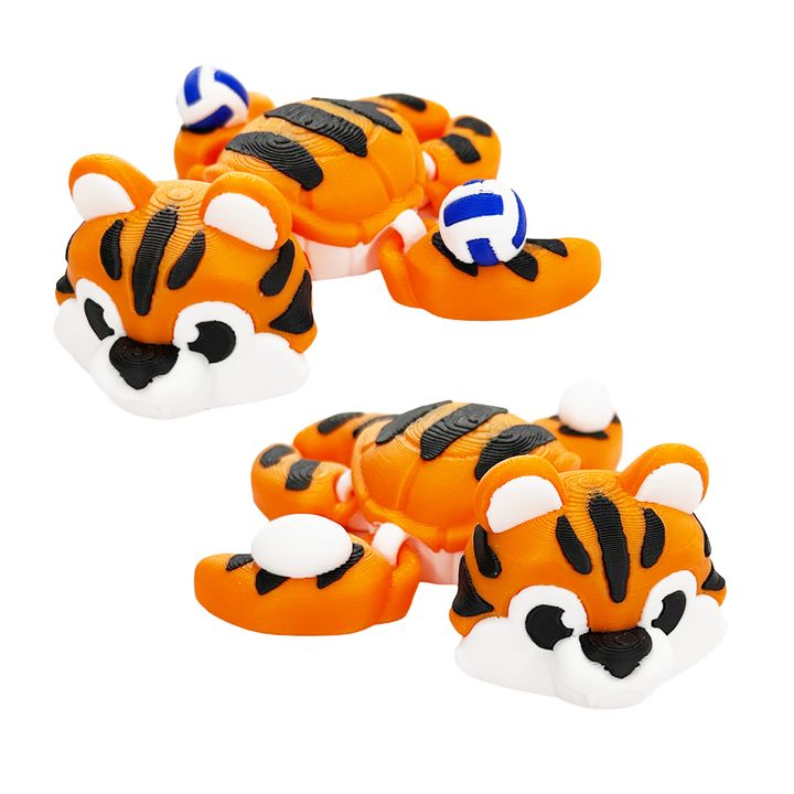 Tiger Turtle