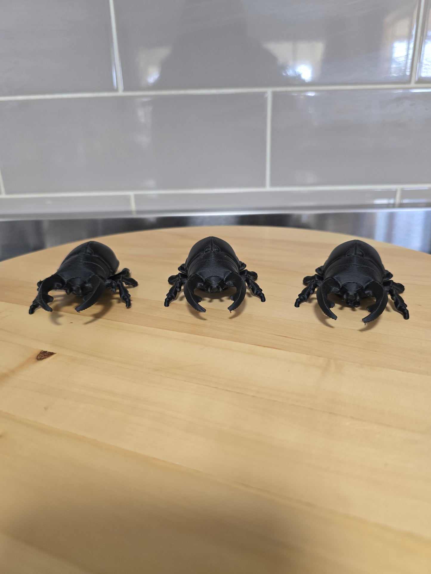 🪲3D Rhinoceros Beetles