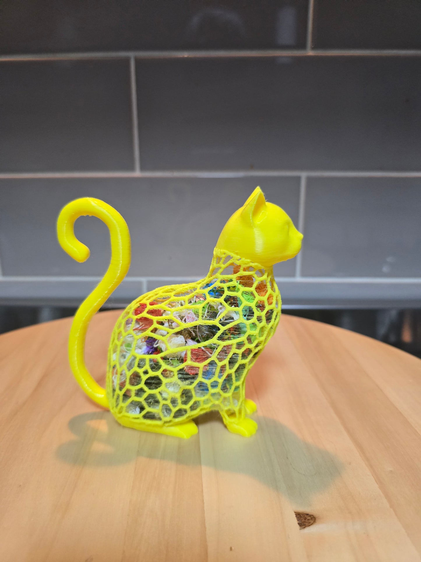 🐱3D Filled With Filament Poop – Turning Waste into Art ♻️