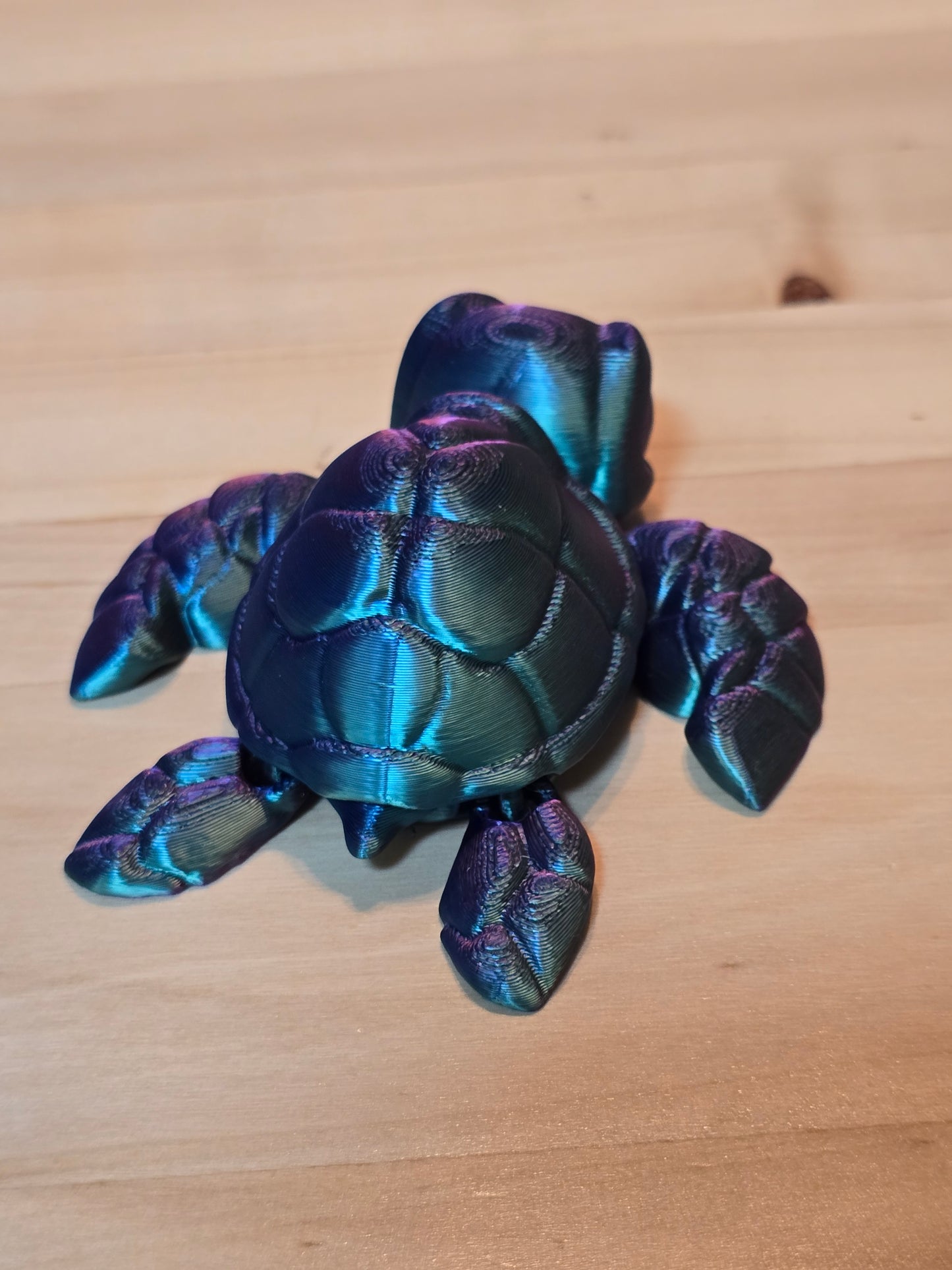 3D Turtle