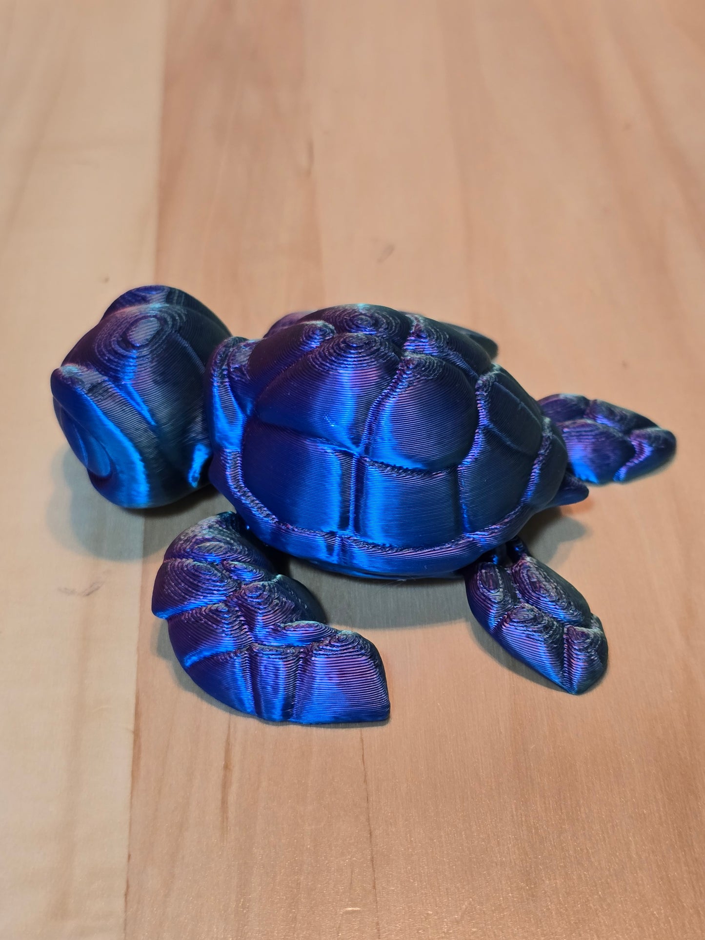3D Turtle