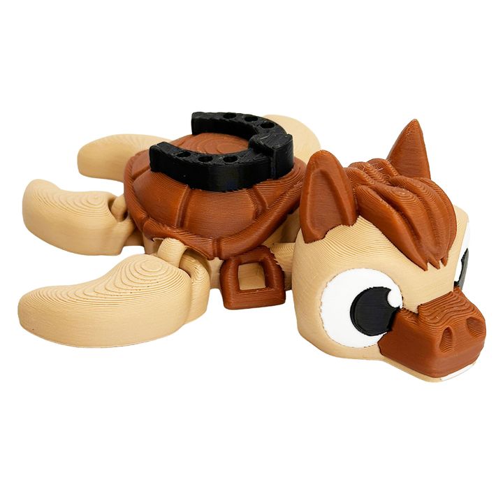 Horse Turtle