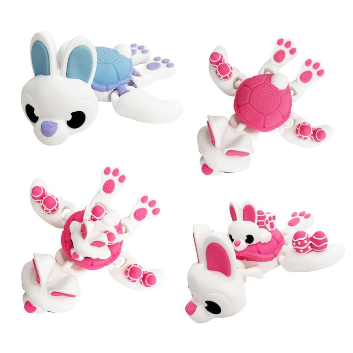 Bunny Turtle