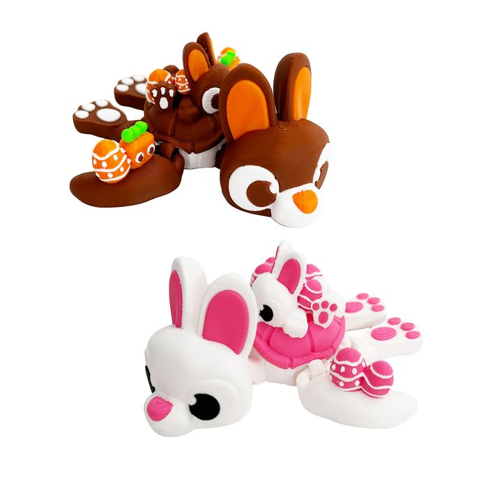 Bunny Turtle