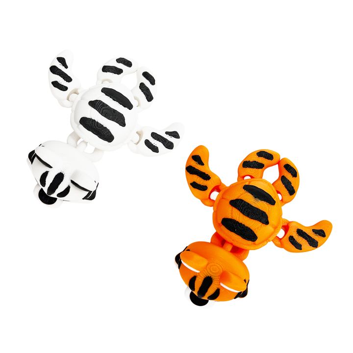 Tiger Turtle