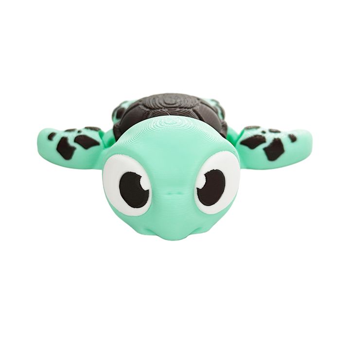 Sea Turtle
