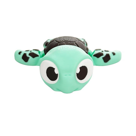 Sea Turtle