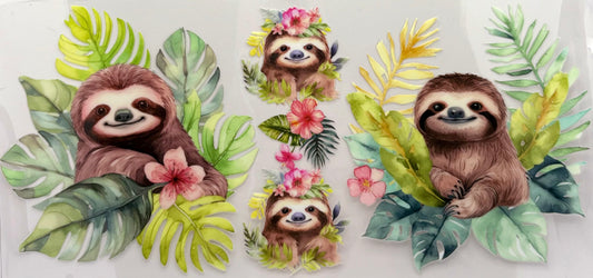 Tropical Sloths