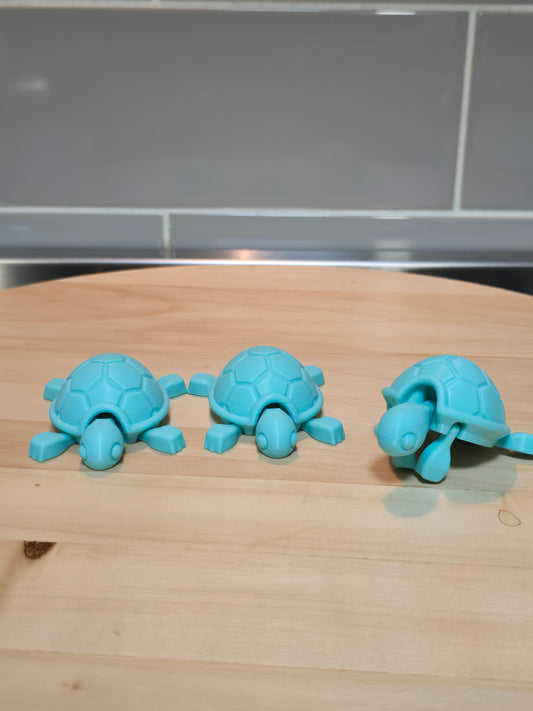 3D Turtle