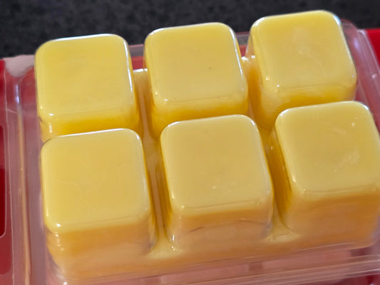 Clamshell - White Christmas