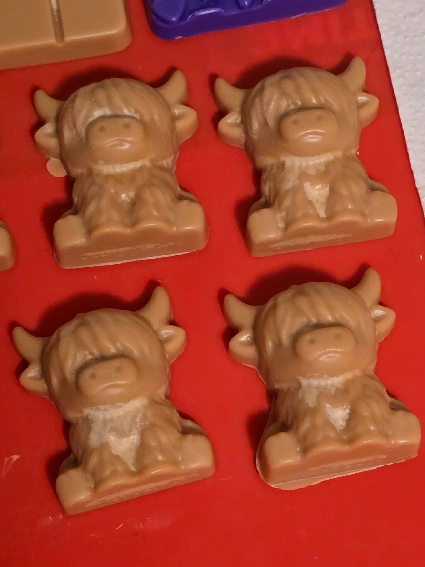 Sandalwood and Cedarwood - wax melts