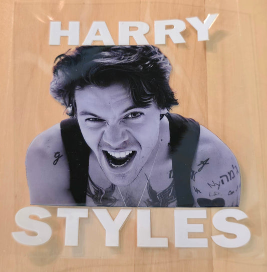  black and white photo of Harry Styles  and 'Harry Styles' text 